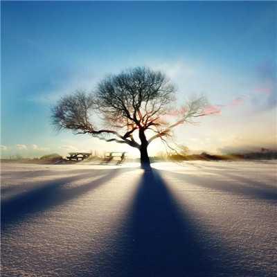 高档次的微信头像 有档次的微信头像