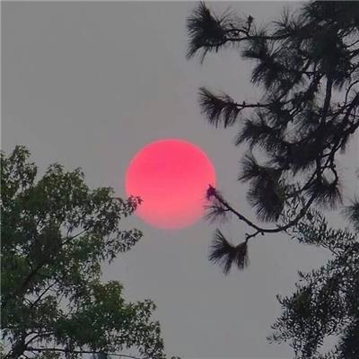 微信头像简单漂亮 微信头像简单漂亮个性
