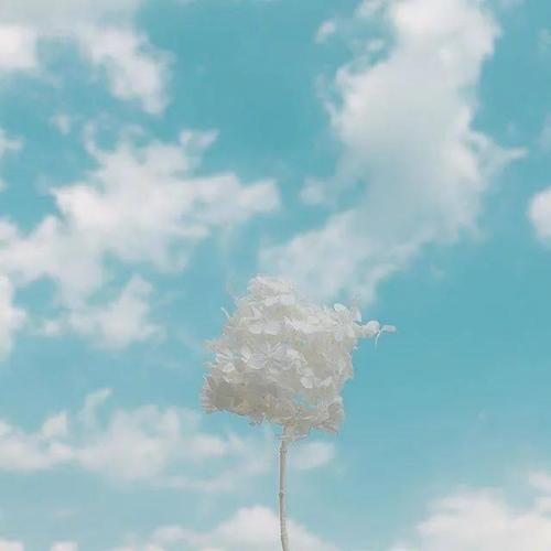 微信头像简单漂亮 微信头像简单漂亮个性