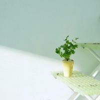 适合长期用的微信头像 微信头像用个人照片比较好吗