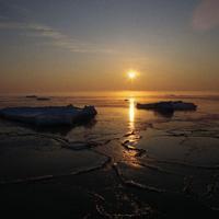 适合长期用的微信头像 微信头像用个人照片比较好吗