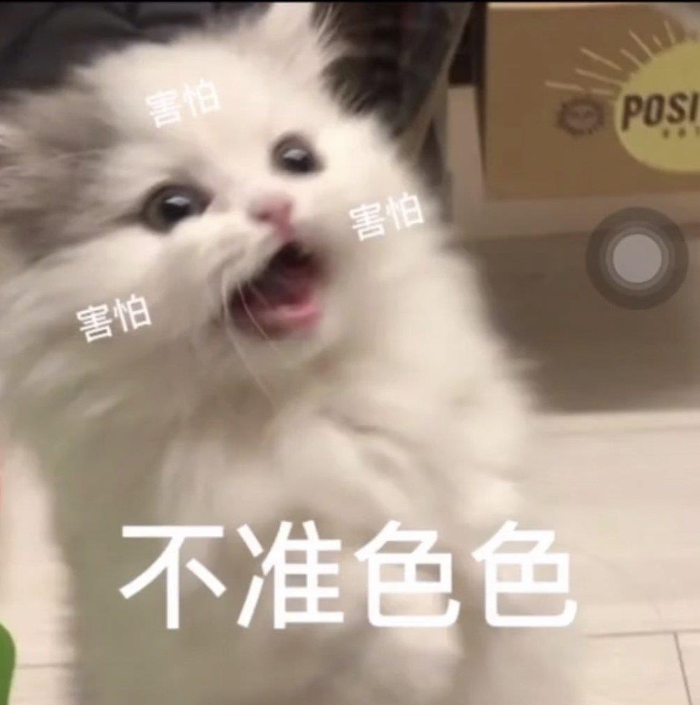 将可爱进行到底的小猫咪头像图片