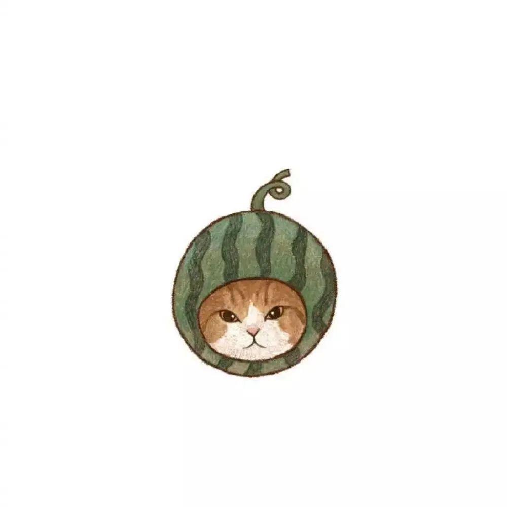 戴着水果头套的手绘猫咪头像-小猫咪的头像图片