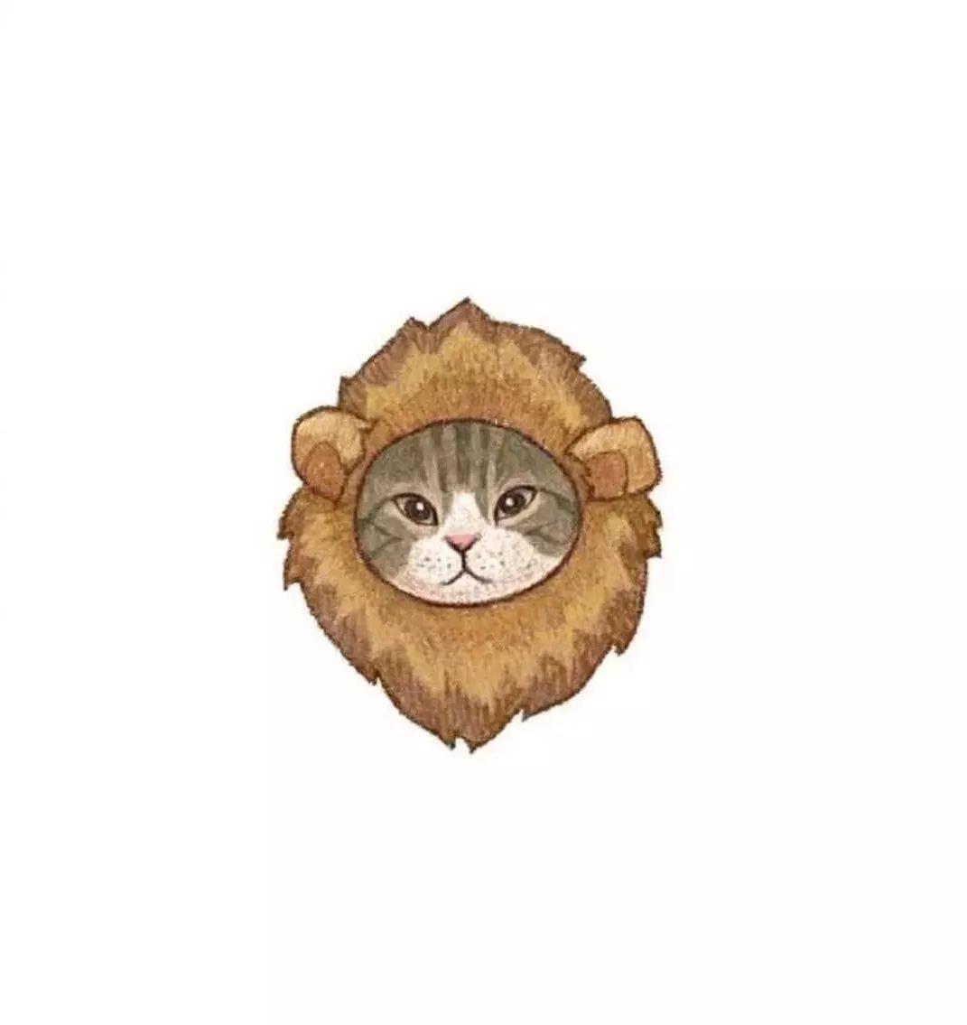 戴着水果头套的手绘猫咪头像-小猫咪的头像图片