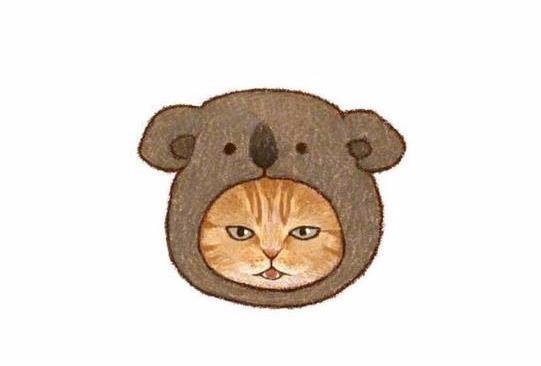 戴着水果头套的手绘猫咪头像-小猫咪的头像图片