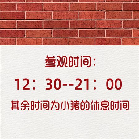 俏皮可爱的微信朋友圈热门头像图片