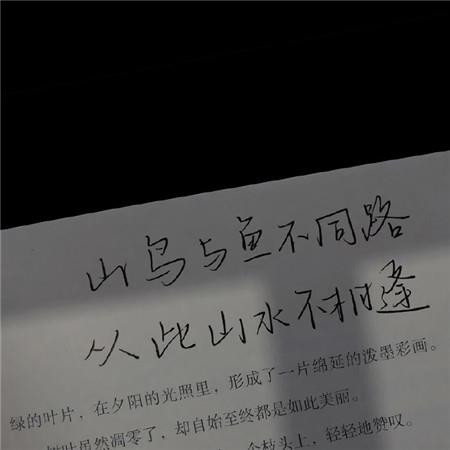 俏皮可爱的微信朋友圈热门头像图片