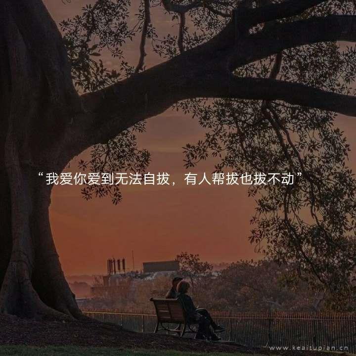 树下的情侣唯美带字头像图片