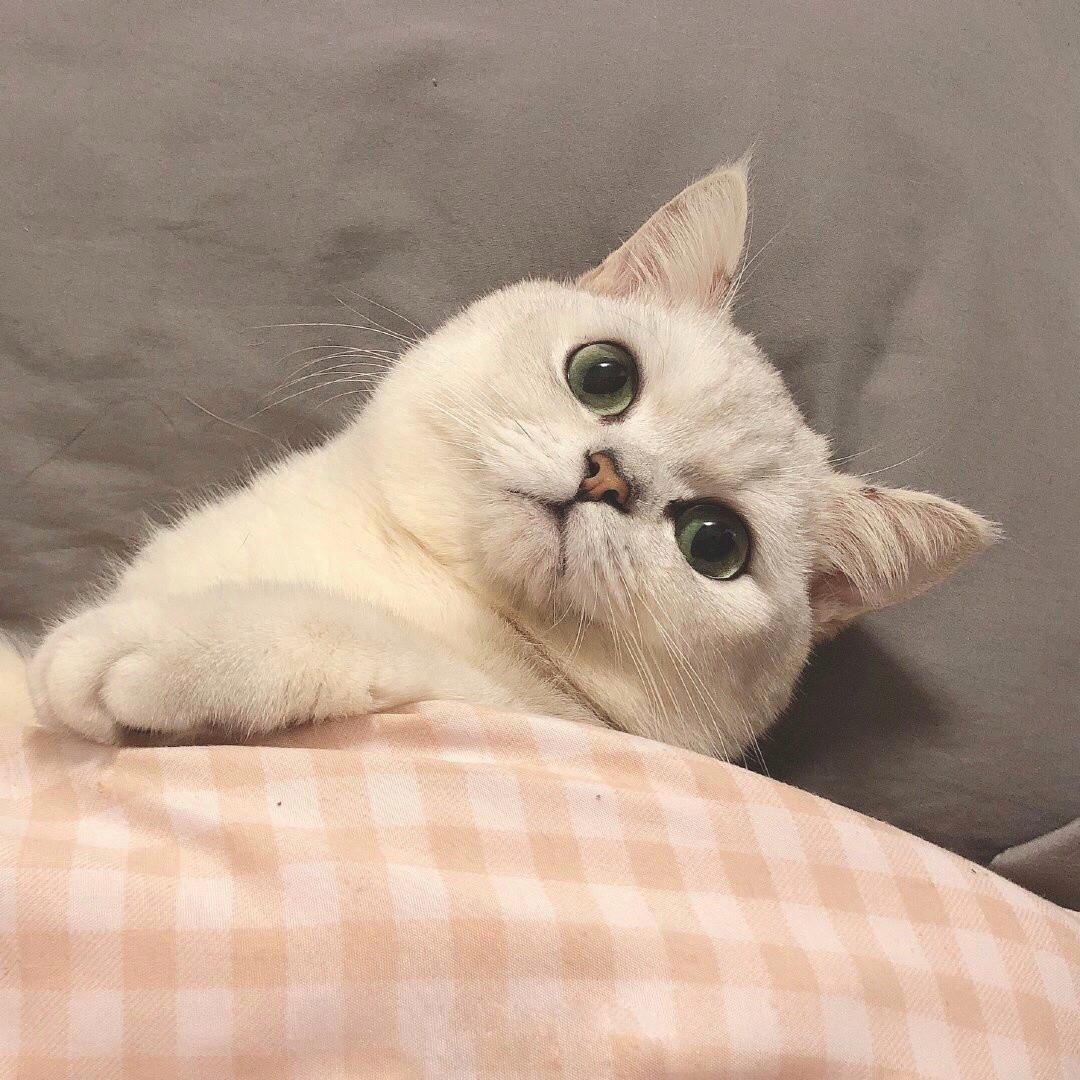 十二月专属五组可爱有个性微信情侣头像图片