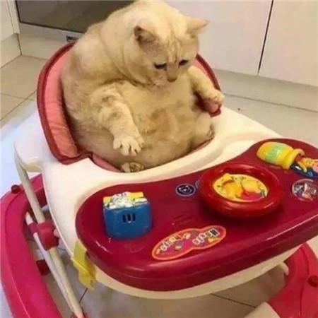 非常适合当背景图的唯美小清新壁纸大全