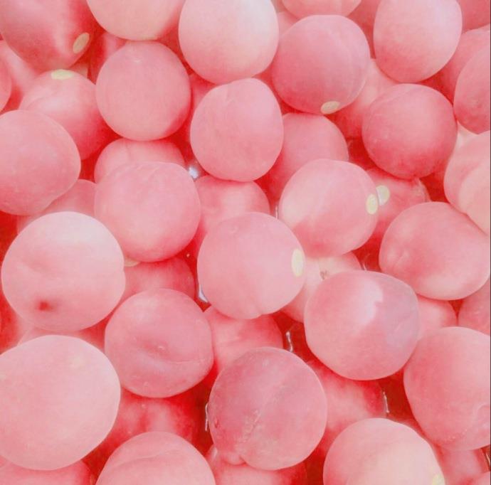 小清新唯美微信最新女生头像图片