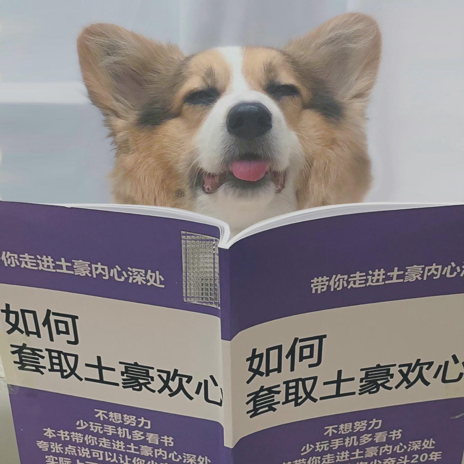 趣味十足的搞笑情侣微信头像图片