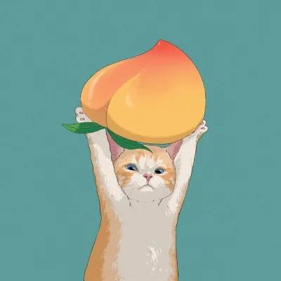 卡通猫咪举双手拿东西的图片头像又萌又有趣