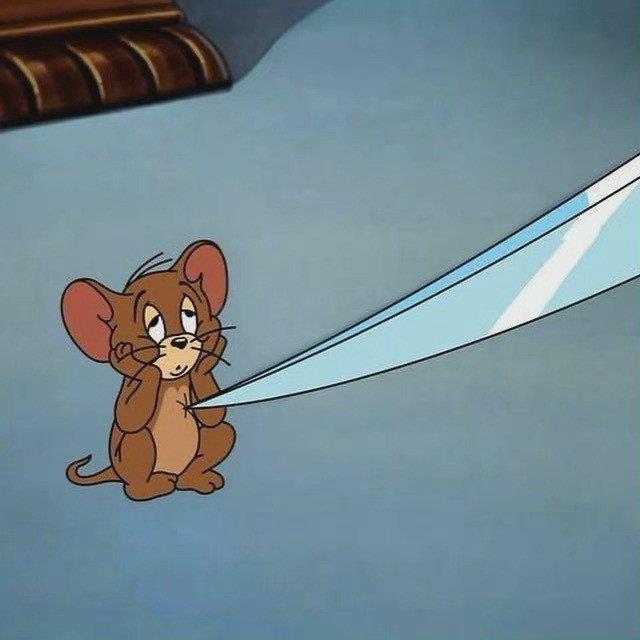 猫与老鼠小杰瑞Jerry专题头像图片