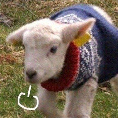 超萌可爱图片头像|生活不易，小动物叹气