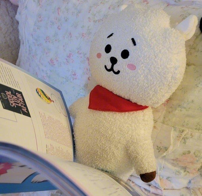 超萌可爱的BT21玩偶RJ头像图片