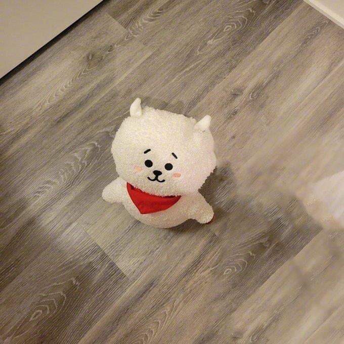 超萌可爱的BT21玩偶RJ头像图片