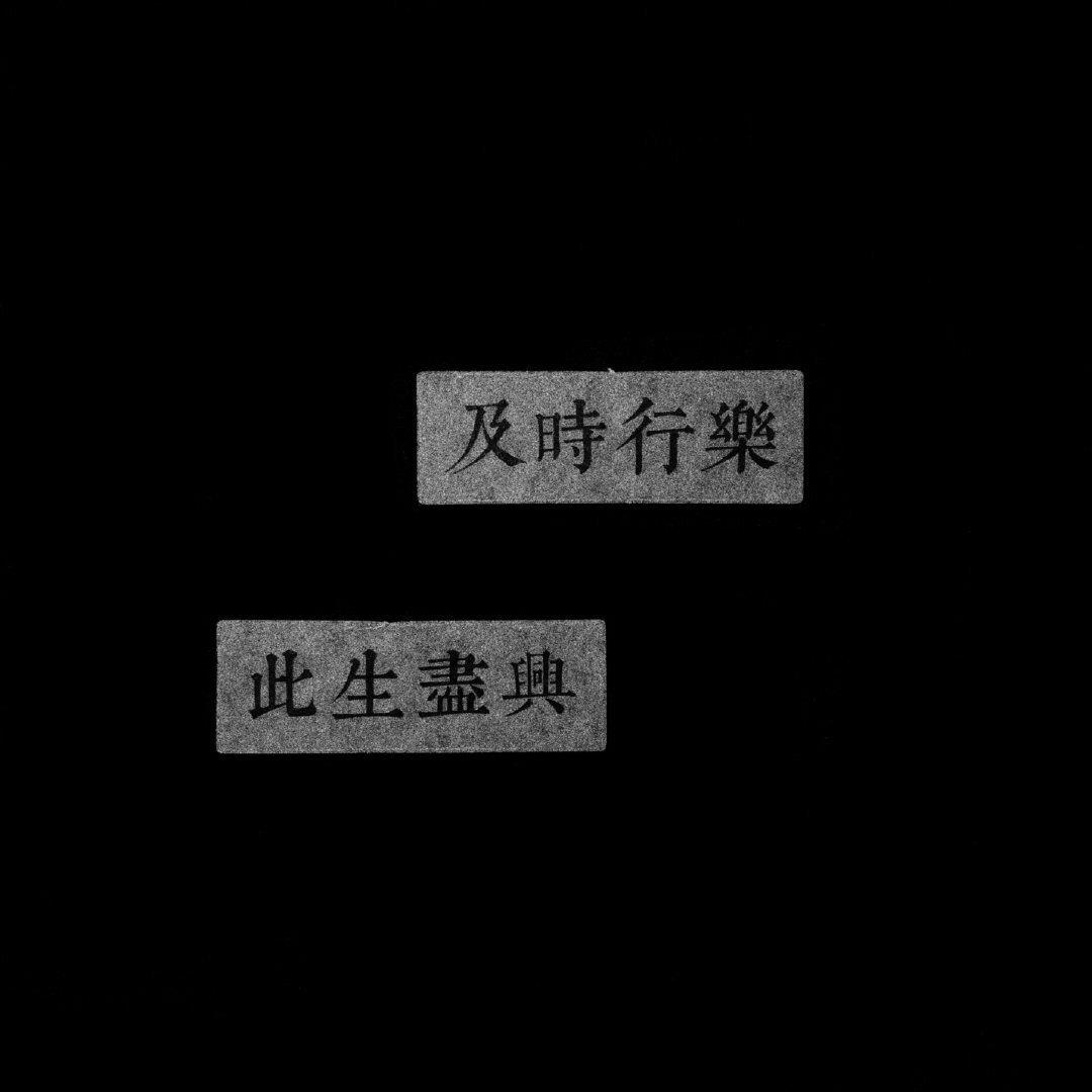 个性背景图片带字简约|及时行乐此生尽兴