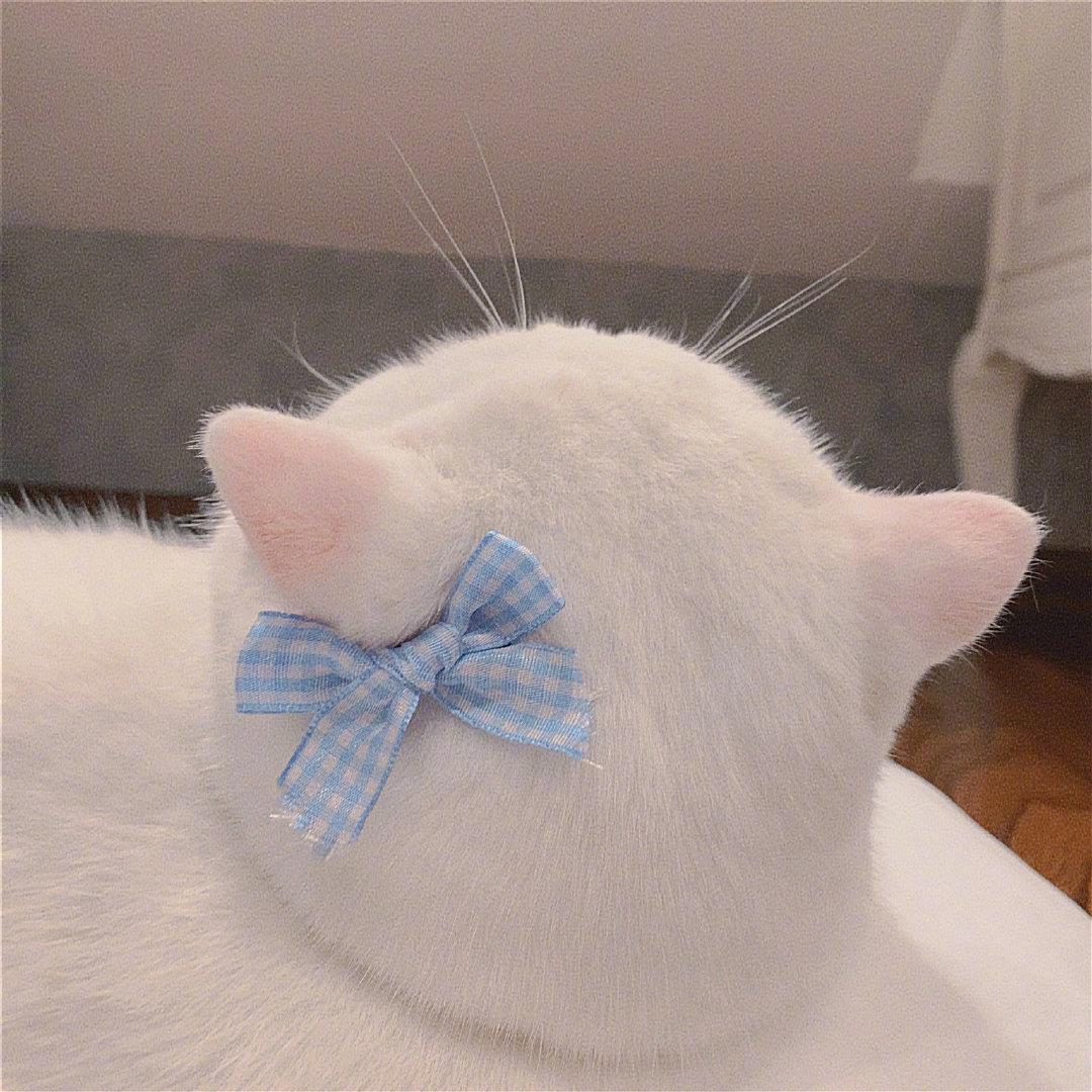 猫猫狗狗头像，不要太可爱的萌宠图片