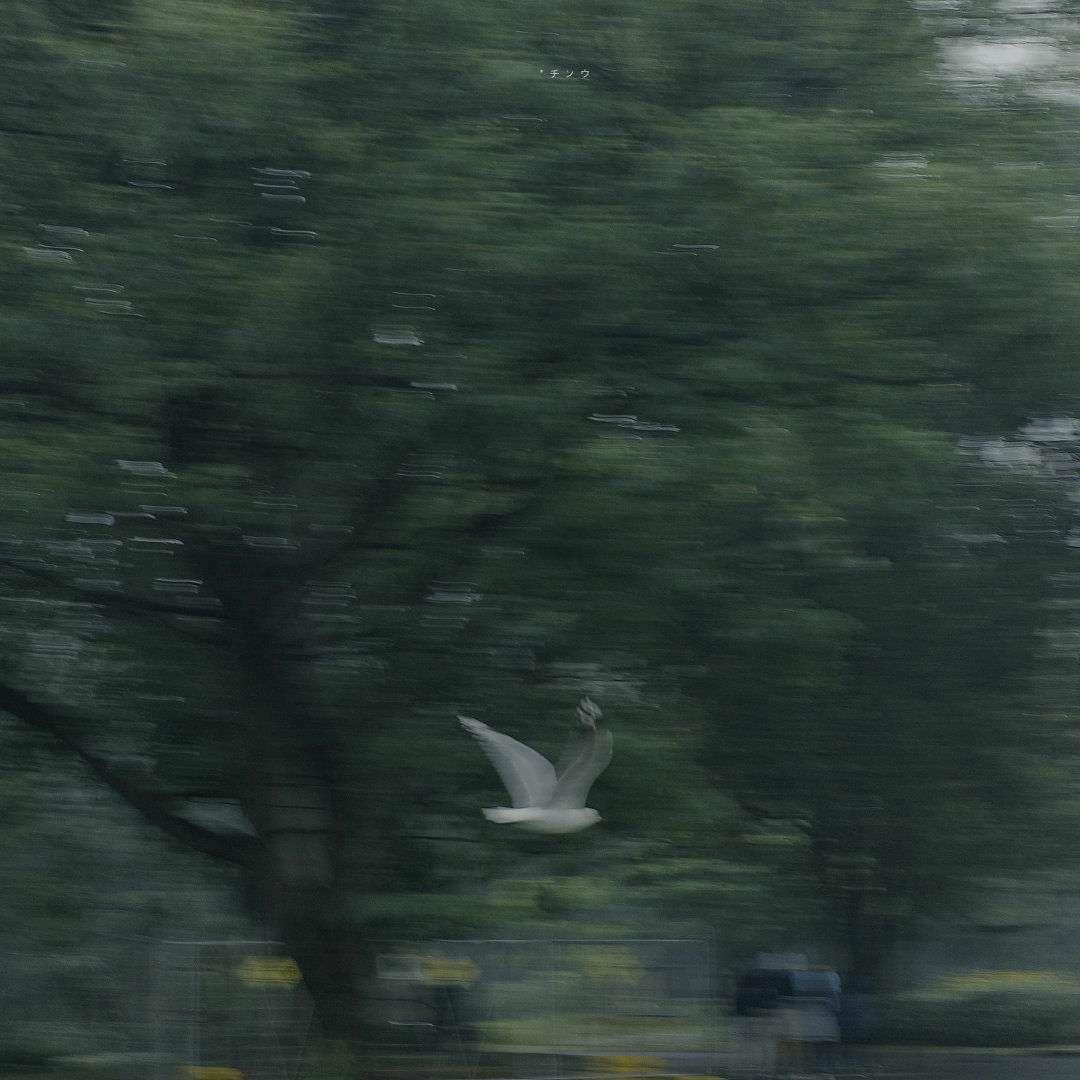 冷淡、伤感风格的个性头像背景图片