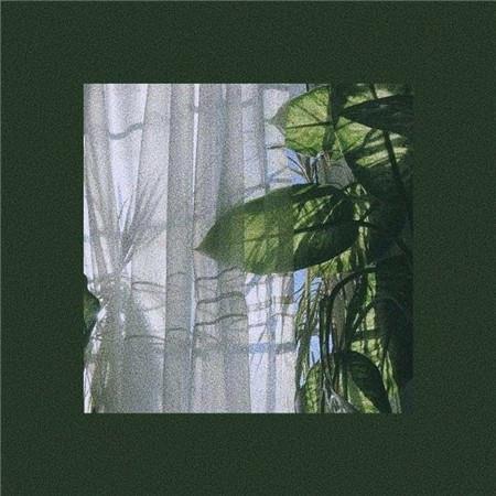 清新大自然文艺温馨朋友圈背景图片