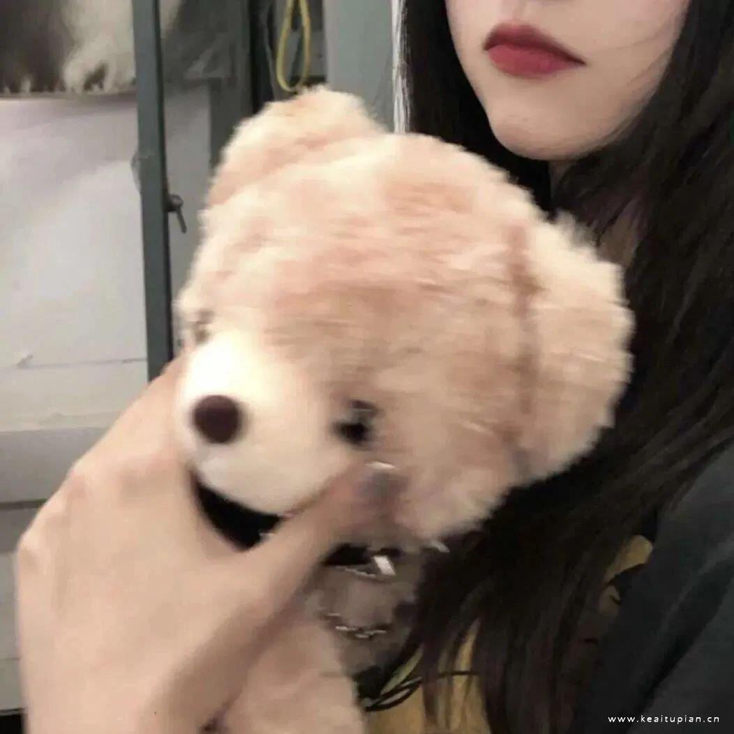 好看的气质美女高清真人头像图片大全