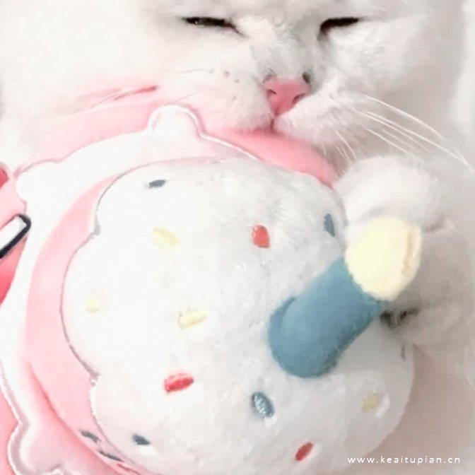 伸舌头打哈欠的狗狗|高冷猫咪|都超可爱的萌宠头像图片