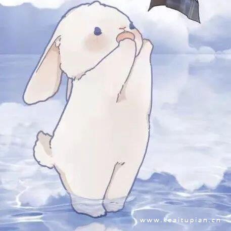 蓝色系情头|动漫情侣浪漫头像图片