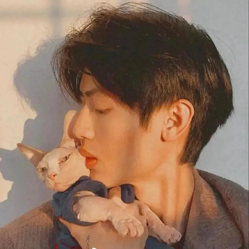 情侣创意猫咪阳光甜蜜温馨头像图片