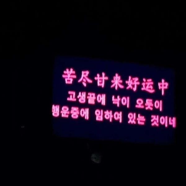 生活中的小确幸|唯美清新ins头像图片