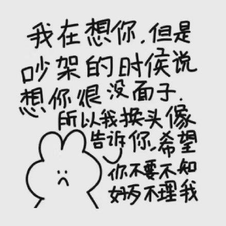 热门精选女生道歉专用头像，超搞笑好玩