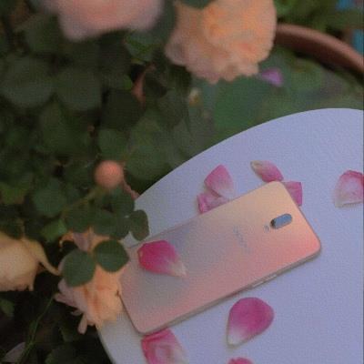 小清新唯美花卉微信高清头像