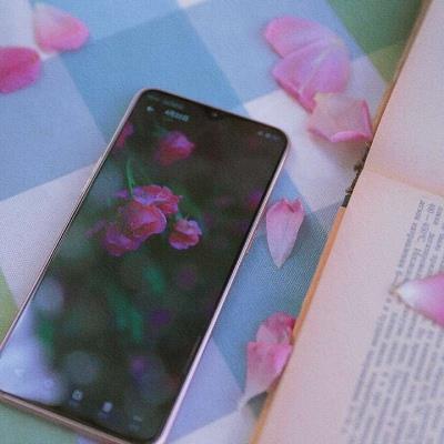 小清新唯美花卉微信高清头像