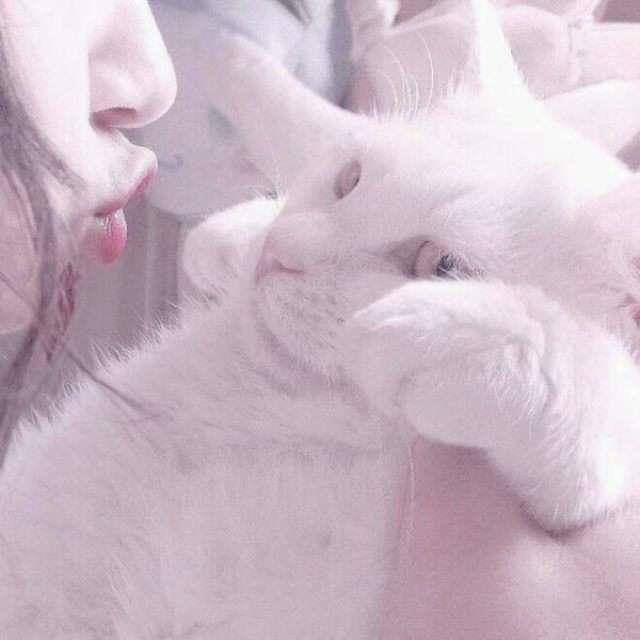 一对情侣的甜蜜秀恩爱日常自拍头像图片