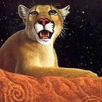 可爱小老虎头像·威武霸气的老虎头像图片