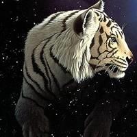 可爱小老虎头像·威武霸气的老虎头像图片
