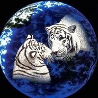 可爱小老虎头像·威武霸气的老虎头像图片