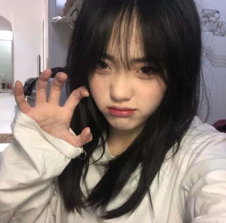 ins风清新可爱的女生微信头像图片