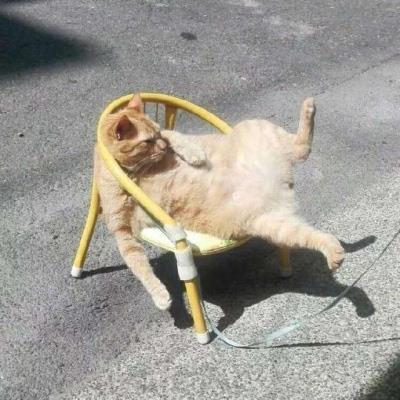 放飞自我超喜感的沙雕逗比微信头像图片