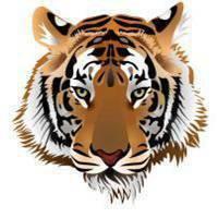 霸气老虎头像_卡通小老虎可爱萌萌哒头像图片