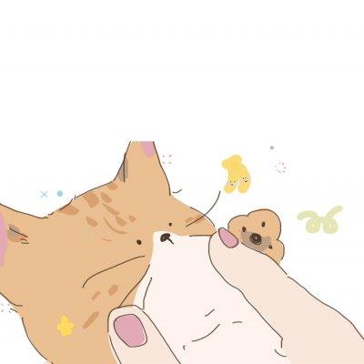 可爱的卡通猫咪头像_宠物猫情侣头像图片