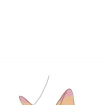 可爱的卡通猫咪头像_宠物猫情侣头像图片