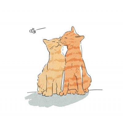 可爱的卡通猫咪头像_宠物猫情侣头像图片