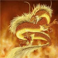 十二生肖龙高清霸气微信头像图片