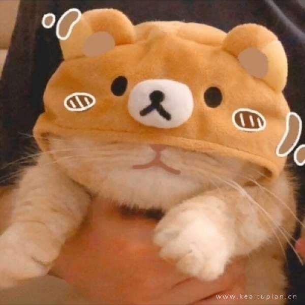 小清新经典好看的微信QQ情侣头像图片