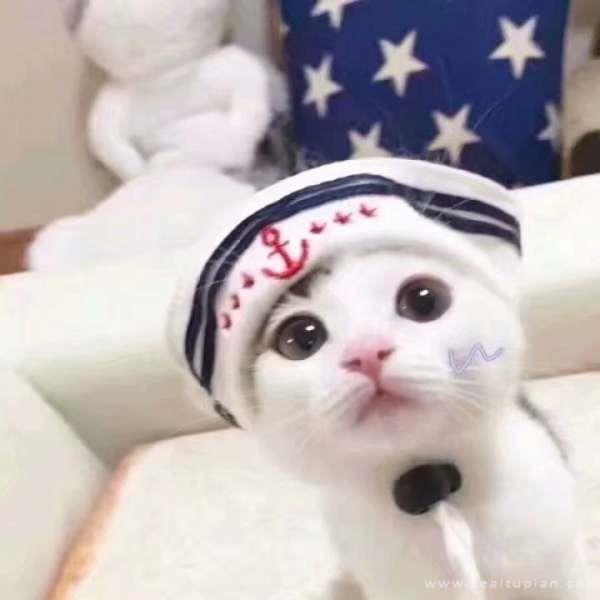 小清新经典好看的微信QQ情侣头像图片