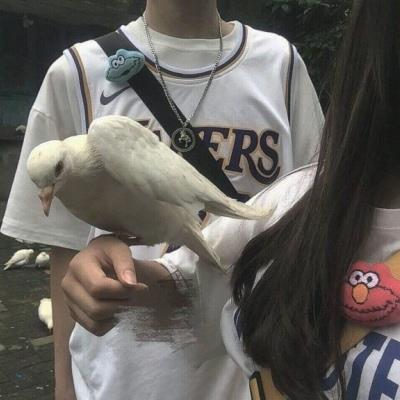 how pay·真人情侣秀恩爱头像图片