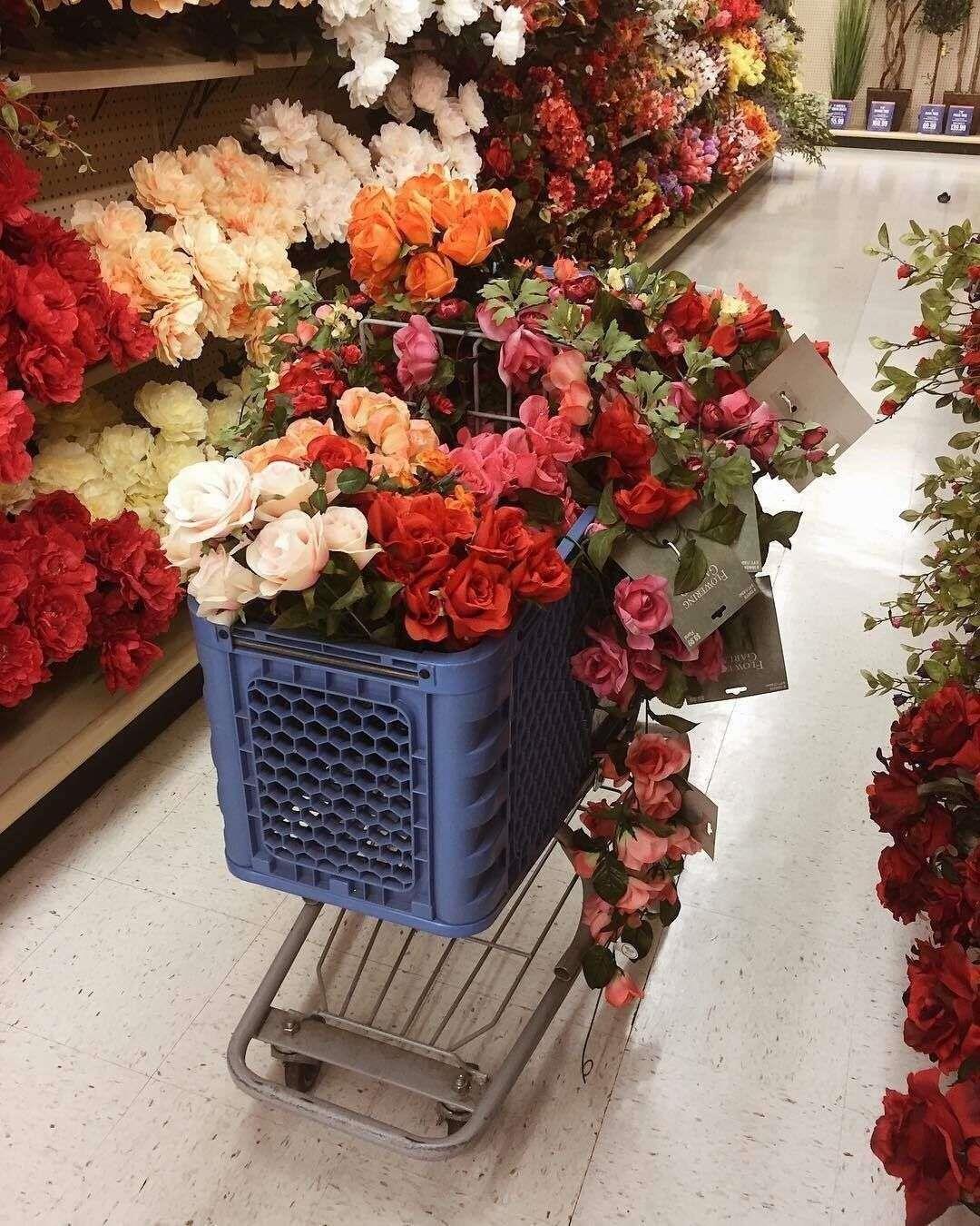 唯美好看花卉要送给自己一束花头像图片大全