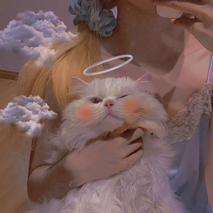 温柔文雅好看小清新女生气质微信头像大全图片