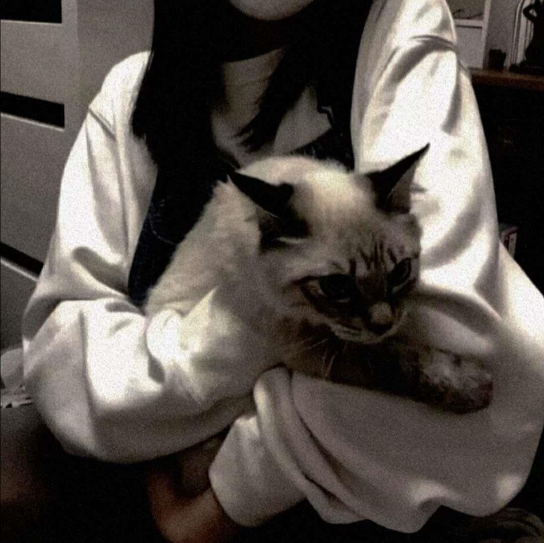 个性酷炫霸气女生头像图片